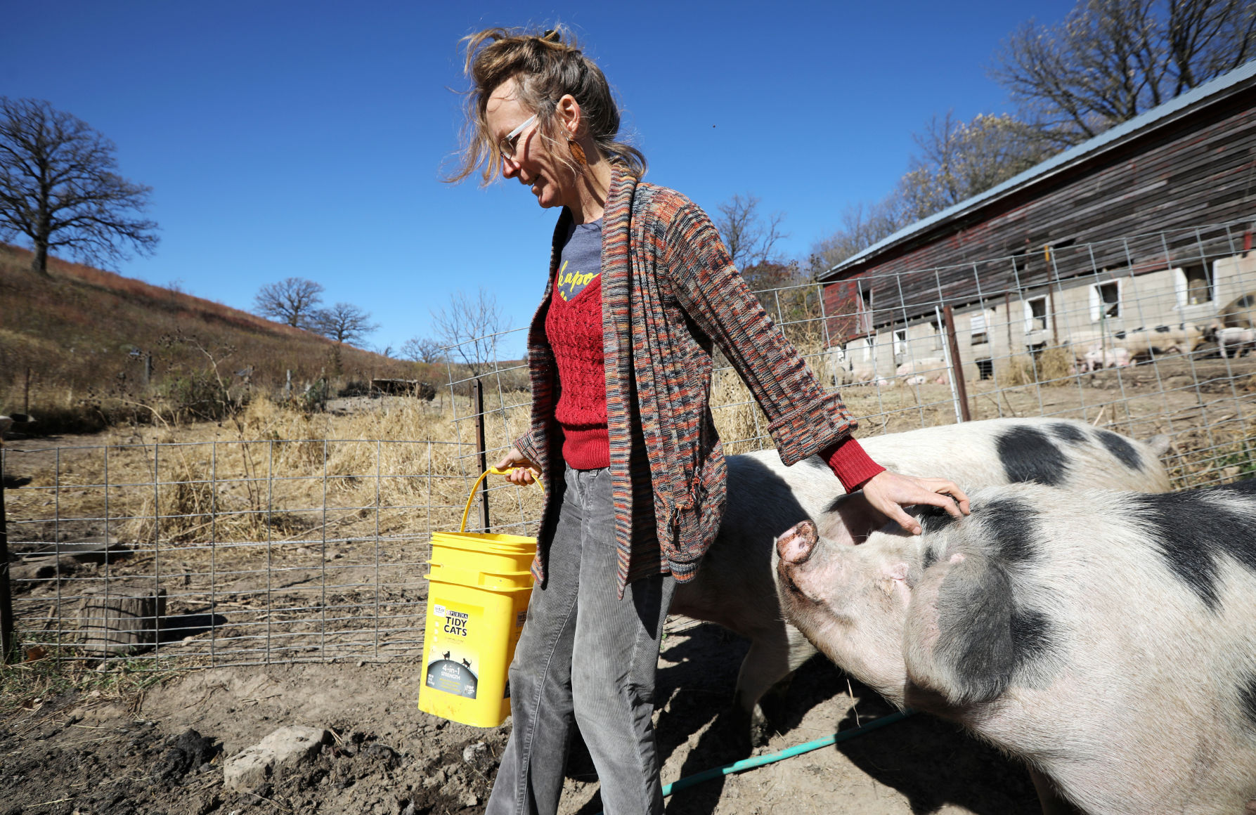 03PigFarm0342AJA-10162020114446